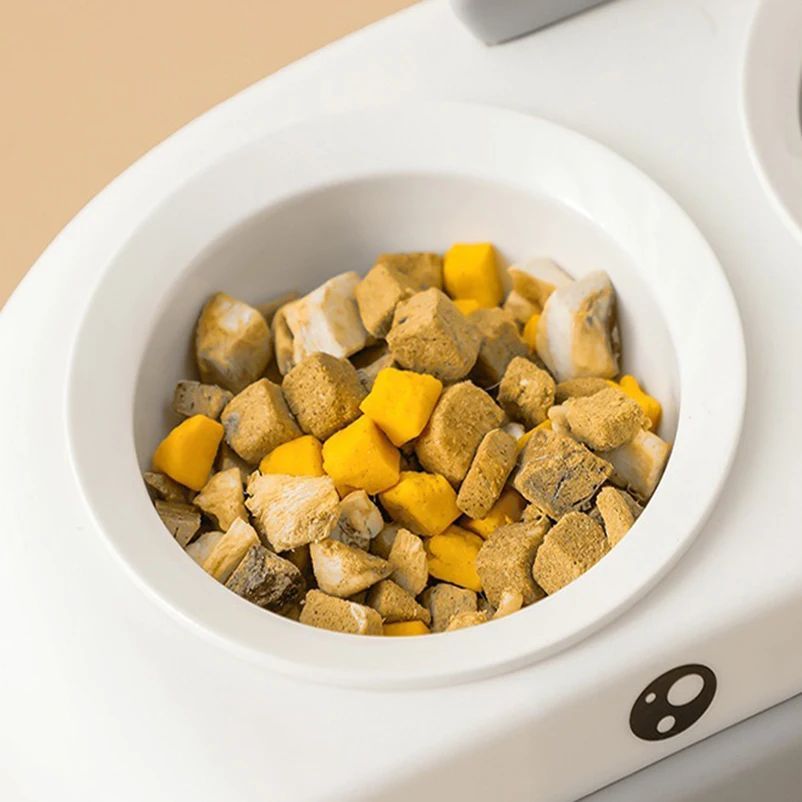 Cat using a double pet bowl in a home setting