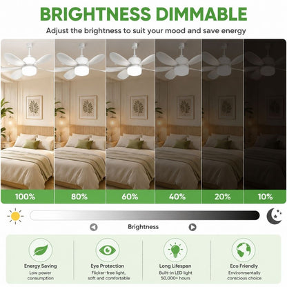 Dimmable LED ceiling fan with adjustable brightness levels from 10% to 100%, providing energy-efficient lighting for bedrooms and living spaces.