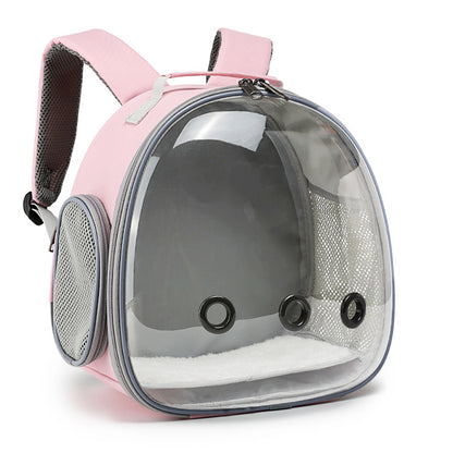 Small dog carrier backpack worn during an outdoor walk