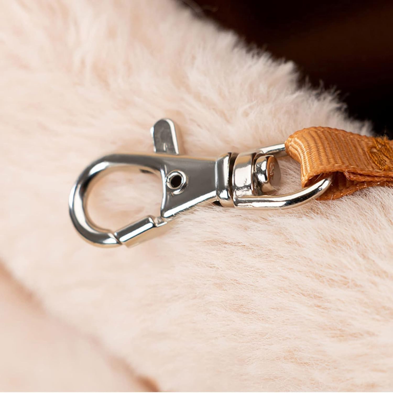 Close-up of the secure metal clip and strap detail on a pet carrier backpack