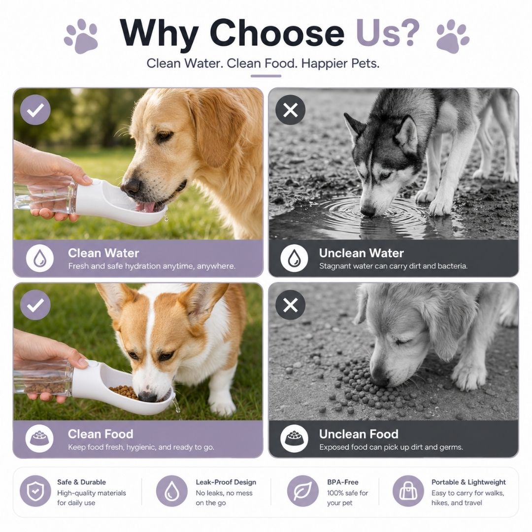 Portable pet water bottle providing clean drinking water and fresh food compared with unsafe outdoor alternatives.