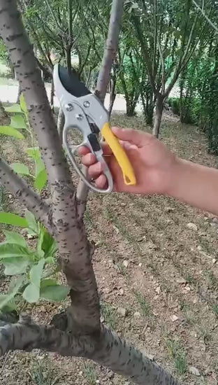 Labor-saving fruit tree pruning scissors