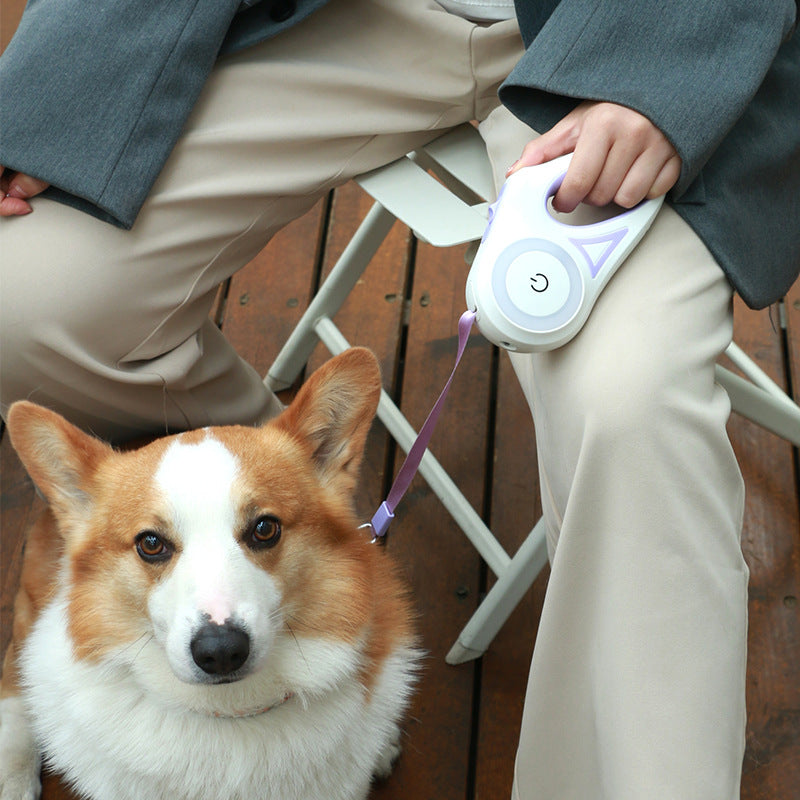 Retractable dog leash being used during an outdoor walk with a dog